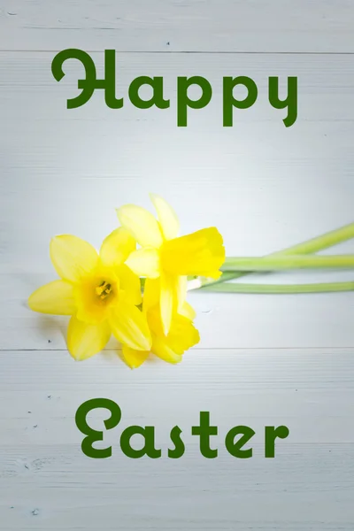 Happy easter against daffodils resting on surface — Stock Photo, Image