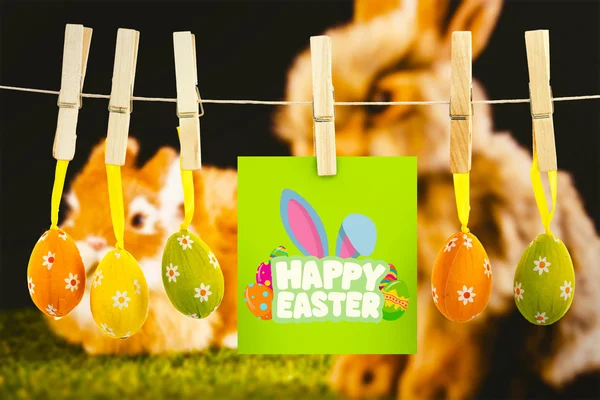 Happy Easter greeting against bunny rabbit — Stock Photo, Image