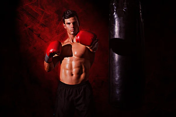 Composite image of muscular boxer — Stock Photo, Image