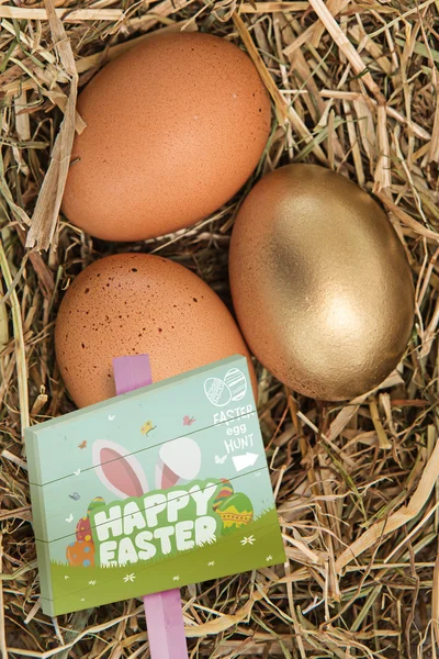 Segno di caccia alle uova di Pasqua — Foto Stock