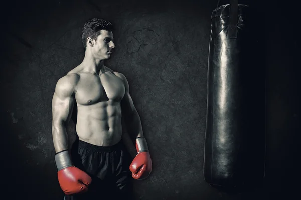 Zusammengesetztes Bild eines muskulösen Boxers — Stockfoto