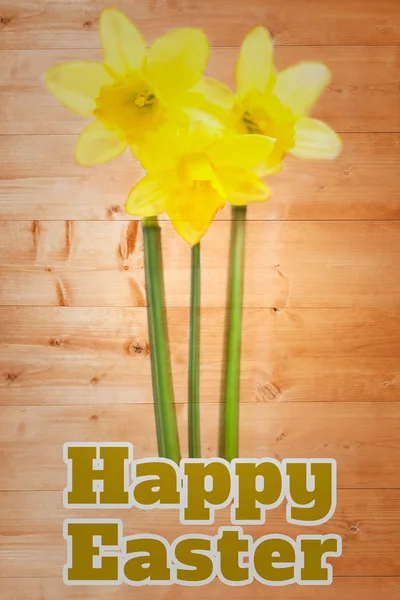 Happy easter against daffodils with stems — Stock Photo, Image