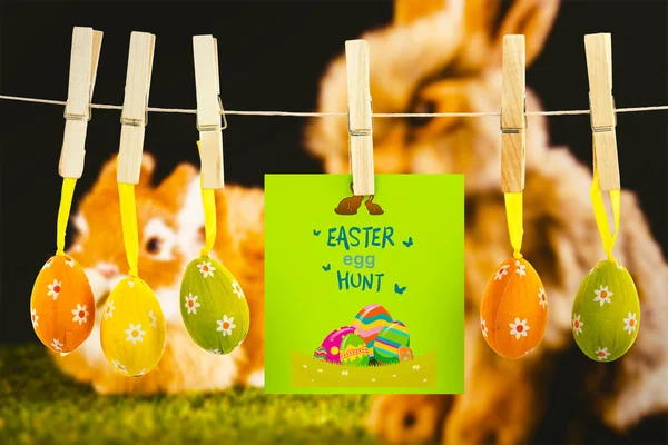 Easter egg hunt afbeelding tegen konijn — Stockfoto