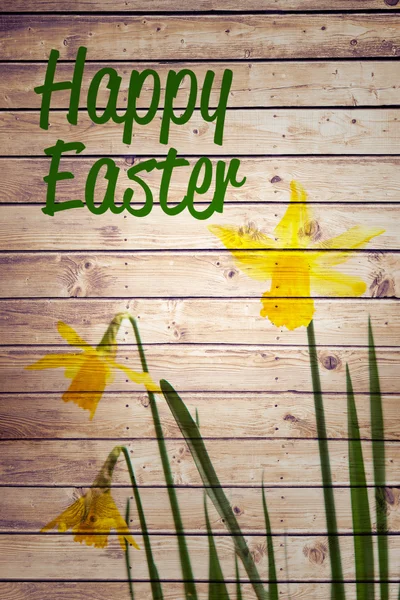 Happy easter against yellow daffodils growing — Stock Photo, Image