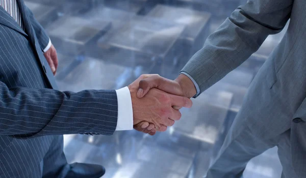 Two men handshake — Stock Photo, Image