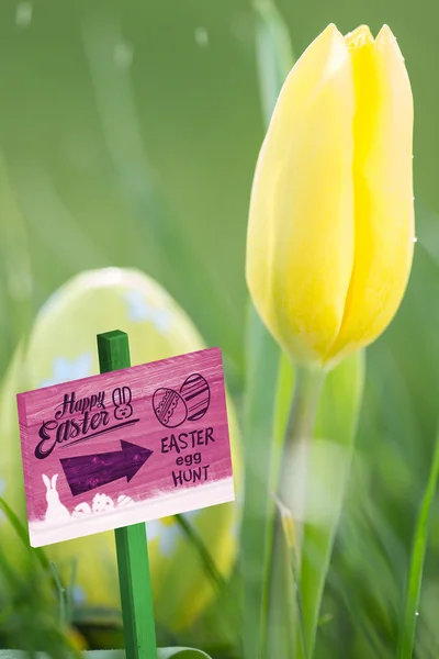 Easter egg hunt sign — Stock Photo, Image