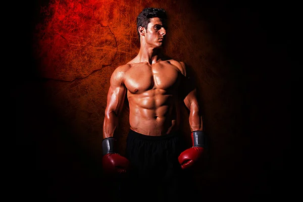 Composite image of muscular boxer — Stock Photo, Image