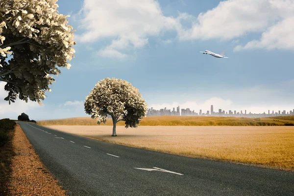 Airplane against road leading out to horizon — Stock Photo, Image