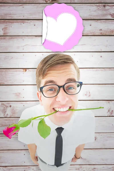 Hipster holding a red rose in his teeth — Stock Photo, Image