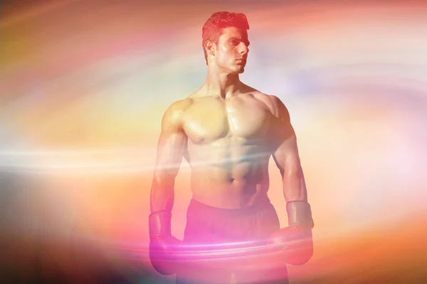 Bild eines muskulösen Boxers — Stockfoto