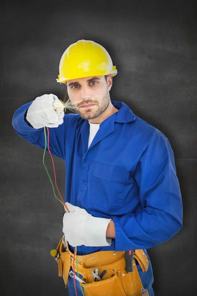 Confident repairman holding cables — Stock Photo, Image