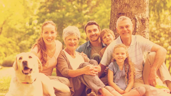 Uitgebreide familie met hun huisdier hond zit op park — Stockfoto