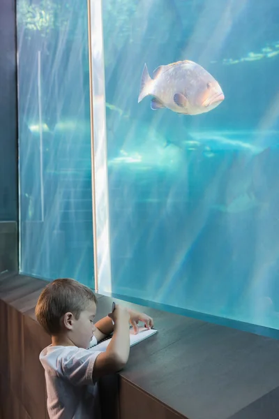 Petit garçon regardant aquarium — Photo
