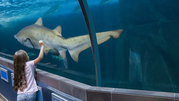 Kislány nézi az akváriumban — Stock Fotó