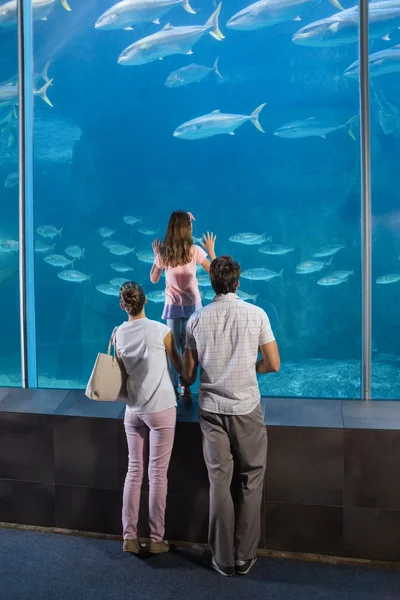 Happy family looking at fish tank — Stock Photo, Image