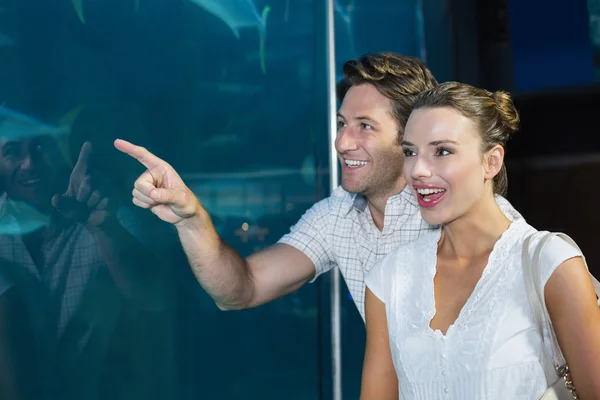 Pareja mirando peces en el tanque —  Fotos de Stock