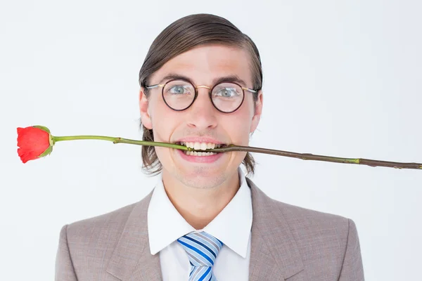 Geeky zakenman biedt bos van rozen — Stockfoto