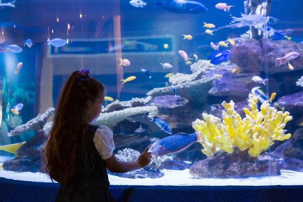 Menina olhando para tanque de peixe — Fotografia de Stock