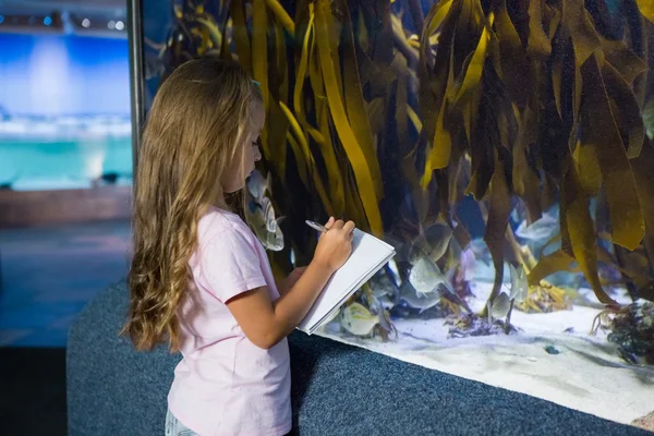 Leuk meisje op zoek naar aquarium — Stockfoto