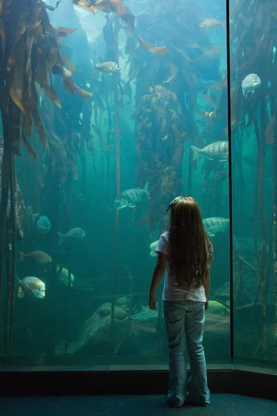 Petite fille regardant aquarium — Photo