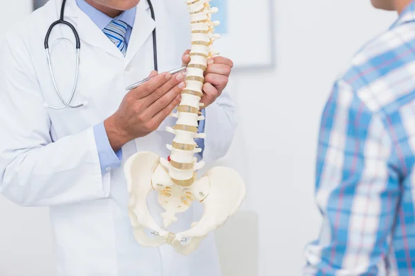 Doctor showing anatomical spine to patient — Stock Photo, Image