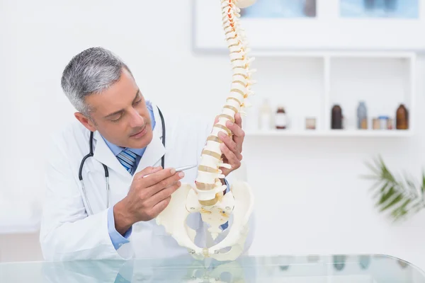 Medico con colonna vertebrale anatomica — Foto Stock