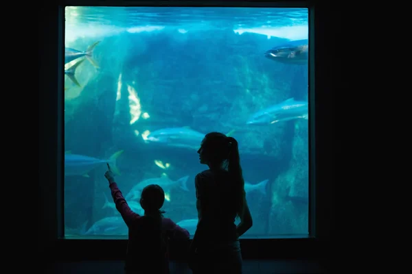 Happy mother and daughter looking at tank — Stock Photo, Image