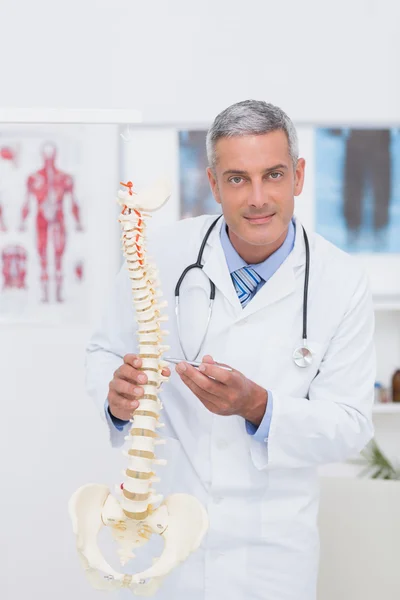 Zufriedener Arzt zeigt anatomische Wirbelsäule — Stockfoto