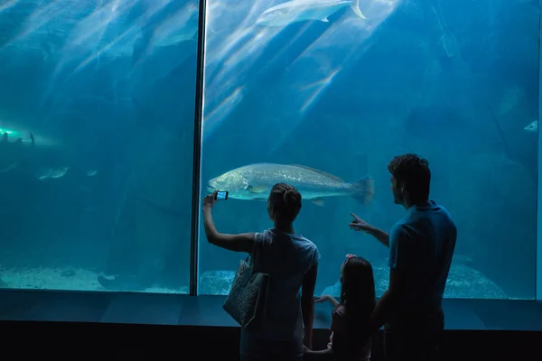 Família feliz olhando para tanque de peixe — Fotografia de Stock