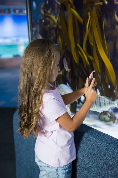 Leuk meisje op zoek naar aquarium — Stockfoto