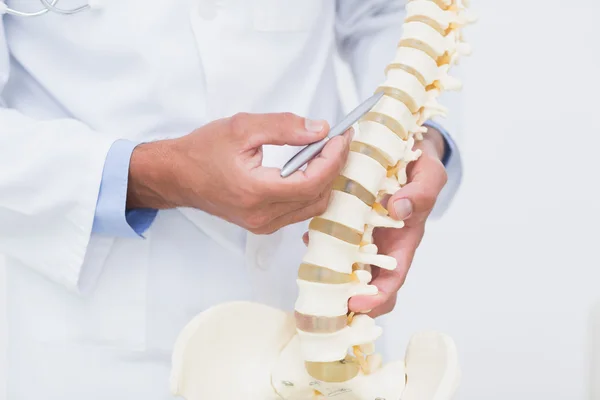 Medico con colonna vertebrale anatomica — Foto Stock