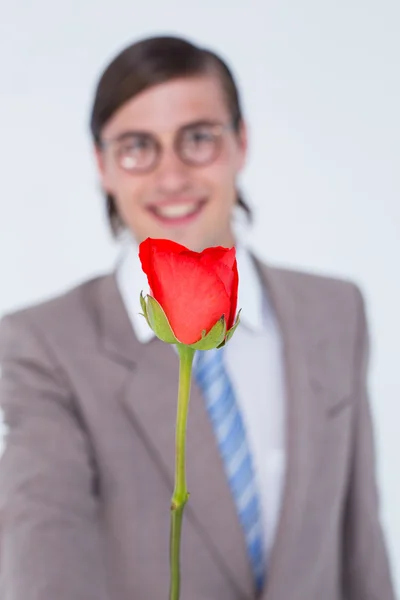 Homem de negócios Geeky oferecendo uma rosa — Fotografia de Stock