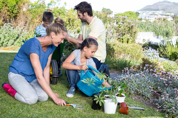 Jovem família feliz jardinagem juntos — Fotografia de Stock