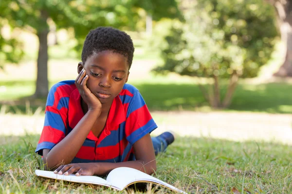 Маленький мальчик читает в парке — стоковое фото