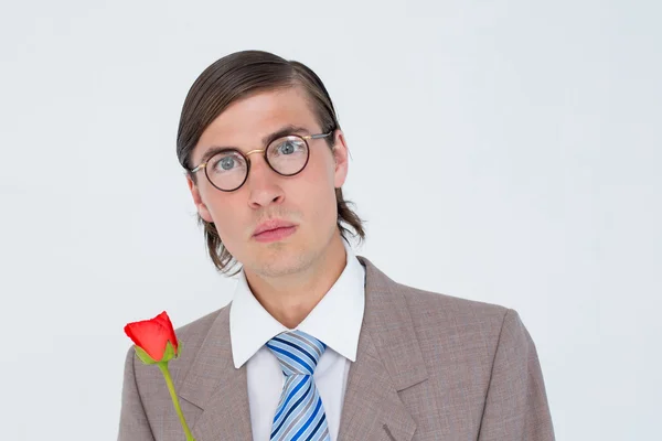 Geeky zakenman biedt een roos — Stockfoto
