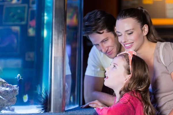 Happy family looking at fish tank — Stock Photo, Image