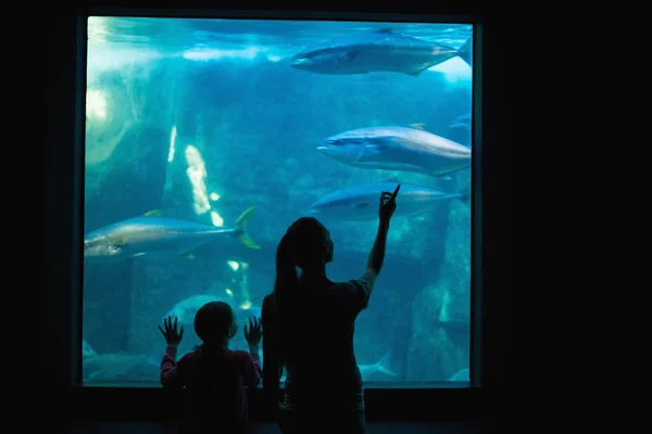 Happy mother and daughter looking at tank — Stock Photo, Image