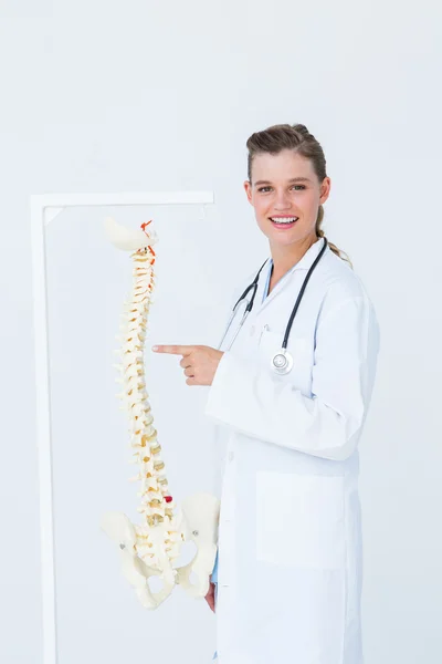Medico che indica una colonna vertebrale anatomica — Foto Stock