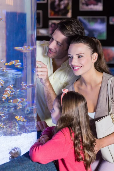 Happy family looking at fish tank — Stock Photo, Image