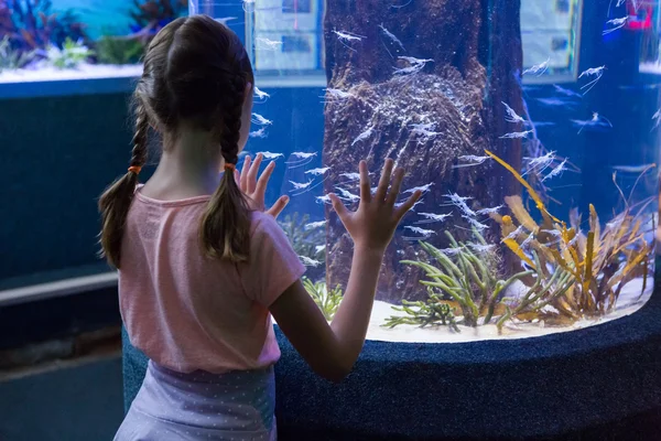 Cute girl looking at fish tank — Stock Photo, Image