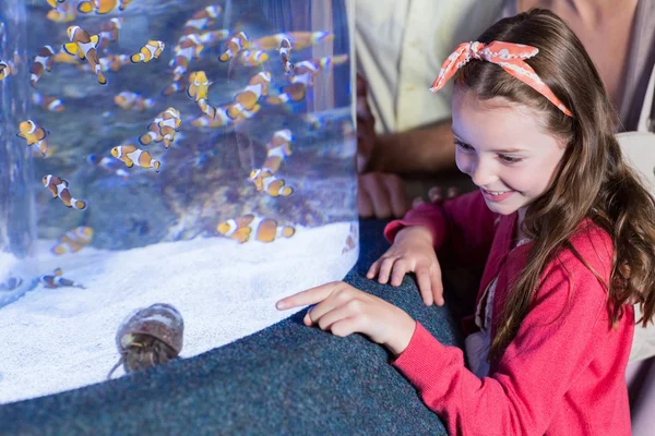 Happy family looking at fish tank — Stock Photo, Image