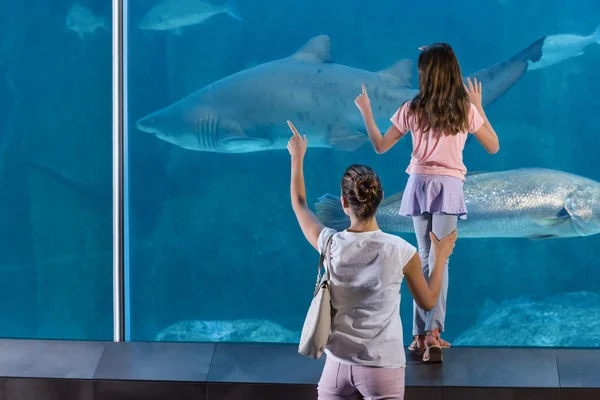 Happy family looking at fish tank — Stock Photo, Image