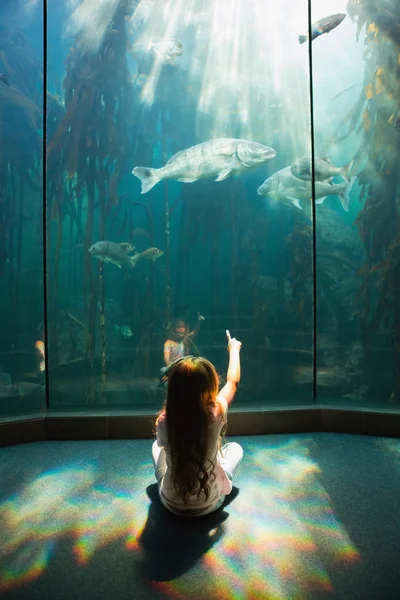 Petite fille regardant aquarium — Photo