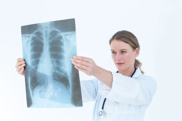 Médico enfocado mirando rayos X —  Fotos de Stock