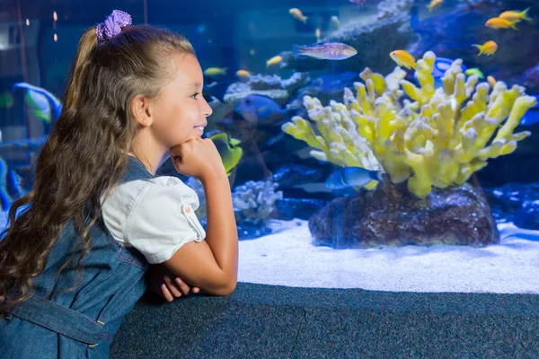 Petite fille regardant aquarium — Photo