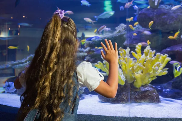 Liten flicka tittar på fisk tank — Stockfoto