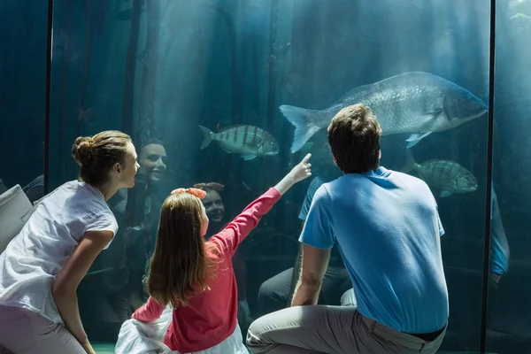 Famille regardant aquarium — Photo