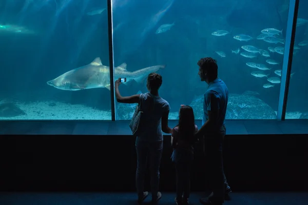 Mutlu aile balık tank görünümlü — Stok fotoğraf