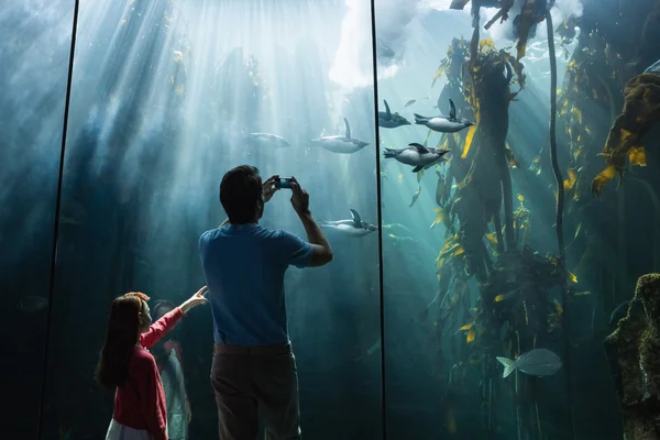 Padre e figlia guardando acquario — Foto Stock