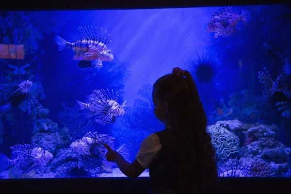 Μικρό κορίτσι κοιτάζοντας δεξαμενή ψαριών — Φωτογραφία Αρχείου
